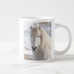 Sluiting van een IJslands witte paard Grote Koffiekop