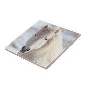 Sluiting van een IJslands witte paard Tegeltje (Zijkant)