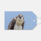 Sluiting van een jonge Osprey Cadeaulabel (Voorkant (Horizontaal))
