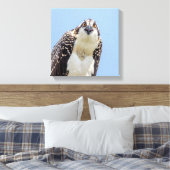 Sluiting van een jonge Osprey Canvas Afdruk (Insitu (Slaapkamer))
