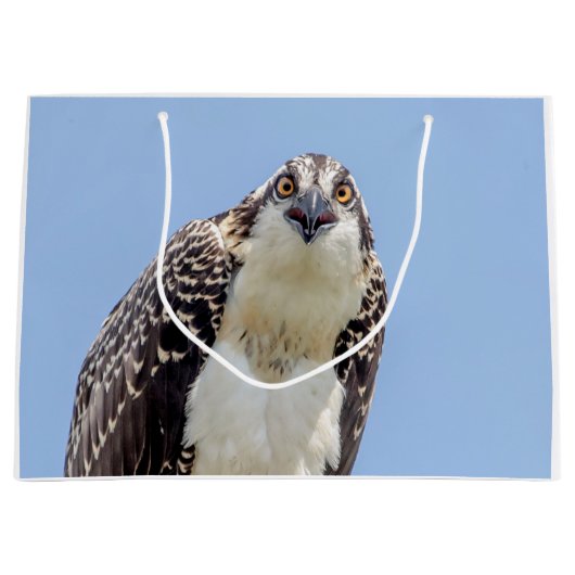 Sluiting van een jonge Osprey Large Cadeautasje (Voorkant)