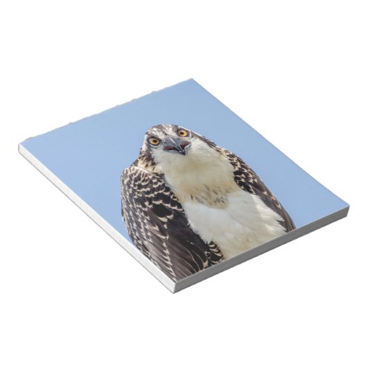 Sluiting van een jonge Osprey Notitieblok (Schuin)