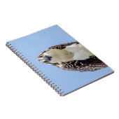 Sluiting van een jonge Osprey Notitieboek (Rechterzijde)