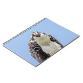 Sluiting van een jonge Osprey Notitieboek (Linkerzijde)