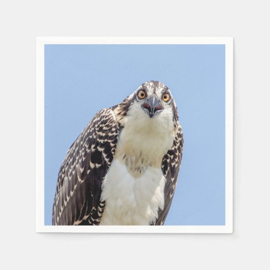 Sluiting van een jonge Osprey Servetten (Voorkant)