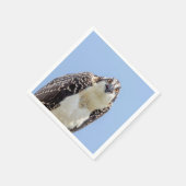 Sluiting van een jonge Osprey Servetten (Hoek)