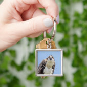 Sluiting van een jonge Osprey Sleutelhanger (Hand)