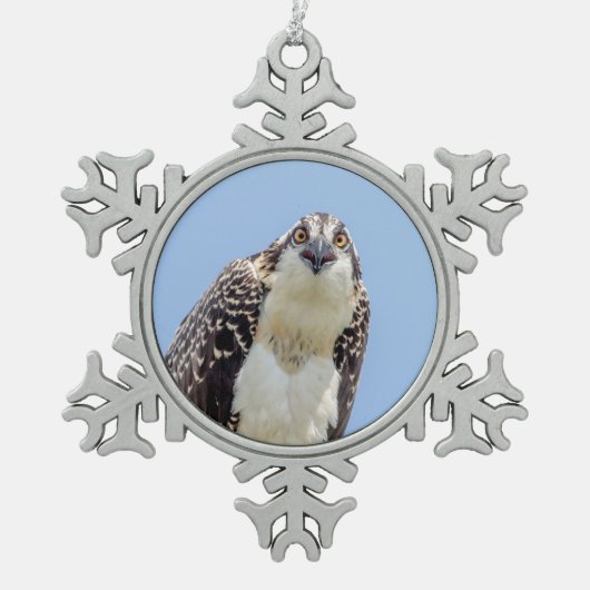Sluiting van een jonge Osprey Tin Sneeuwvlok Ornament (Voorkant)