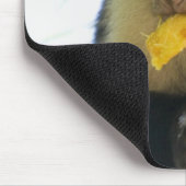 Sluiting van een kapucijnaap die een vrucht eet muismat (Hoek)