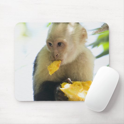 Sluiting van een kapucijnaap die een vrucht eet muismat (Met muis)