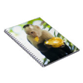 Sluiting van een kapucijnaap die een vrucht eet notitieboek (Rechterzijde)