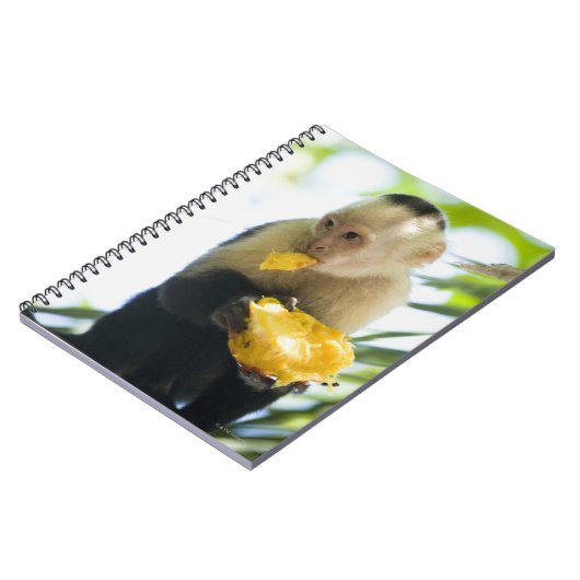 Sluiting van een kapucijnaap die een vrucht eet notitieboek (Linkerzijde)