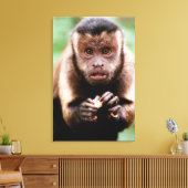 Sluiting van een kapucijnaapje met zwarte loper canvas afdruk (Insitu (Woonkamer))