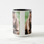 Sluiting van een kapucijnaapje met zwarte loper mok (Midden)