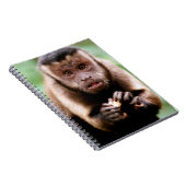 Sluiting van een kapucijnaapje met zwarte loper notitieboek (Rechterzijde)