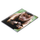 Sluiting van een kapucijnaapje met zwarte loper notitieboek (Linkerzijde)