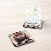 Sluiting van een kapucijnaapje met zwarte loper onderzetter (Rechterzijde)