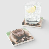 Sluiting van een kapucijnaapje met zwarte loper stenen onderzetter (Zijkant)