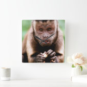 Sluiting van een kapucijnaapje met zwarte loper vierkante klok (Huis)