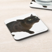 Sluiting van een kat 2 drankjes onderzetter (Linkerzijde)