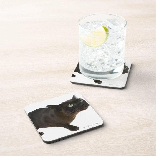 Sluiting van een kat 2 drankjes onderzetter (Rechterzijde)