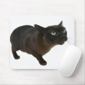 Sluiting van een kat 2 muismat (Met muis)