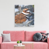 Sluiting van een Killhert Shorebird op de Rocks Canvas Afdruk (Insitu (Woonkamer))