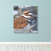 Sluiting van een Killhert Shorebird op de Rocks Canvas Afdruk (Insitu (Houten vloer))