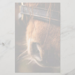 Sluiting van een klauwhouwe pens briefpapier