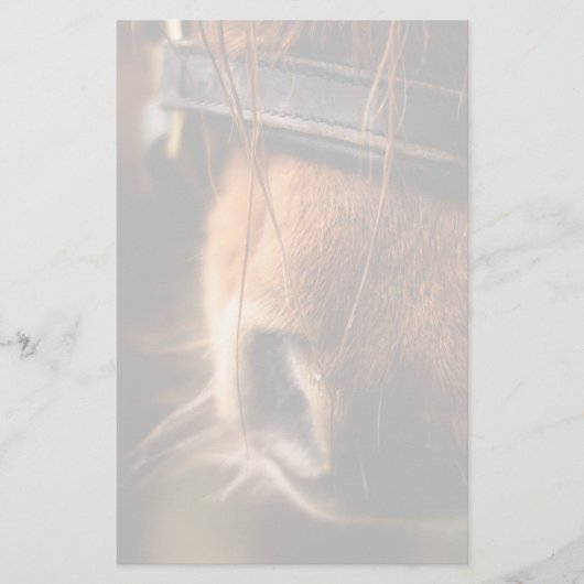 Sluiting van een klauwhouwe pens briefpapier (Voorkant)