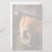 Sluiting van een klauwhouwe pens briefpapier (Voorkant / Achterkant)