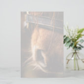 Sluiting van een klauwhouwe pens briefpapier (Staand voorkant)