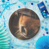 Sluiting van een klauwhouwe pens papieren bordje (Feest)