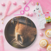 Sluiting van een klauwhouwe pens papieren bordje (Feest)