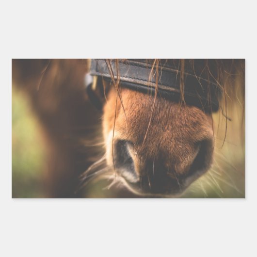 Sluiting van een klauwhouwe pens rechthoekige sticker (Voorkant)