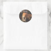 Sluiting van een klauwhouwe pens ronde sticker (Tas)