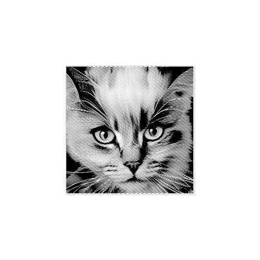 Sluiting van een kleurrijke Siamese Kitten Rubberstempel (Afrduk)