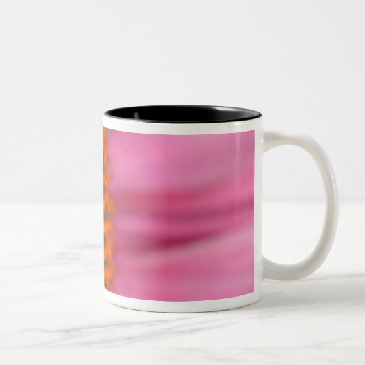 Sluiting van een kloonventilator in de zomertijd; tweekleurige koffiemok (Rechts)