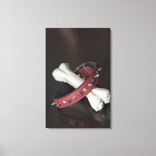 Sluiting van een kraag voor gezelschapsdieren en e canvas afdruk (Voorkant)