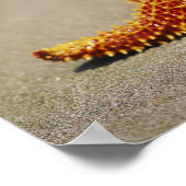 Sluiting van een kussen van sterren poster (Hoek)