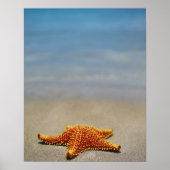 Sluiting van een kussen van sterren poster (Voorkant)