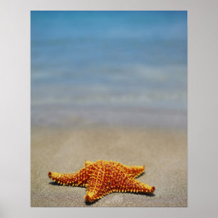 Sluiting van een kussen van sterren poster