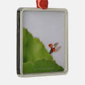 Sluiting van een ladybug boven een blad metalen ornament (Rechts)
