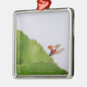 Sluiting van een ladybug boven een blad metalen ornament (Links)