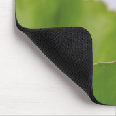 Sluiting van een ladybug boven een blad muismat (Hoek)