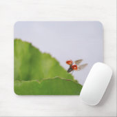 Sluiting van een ladybug boven een blad muismat (Met muis)