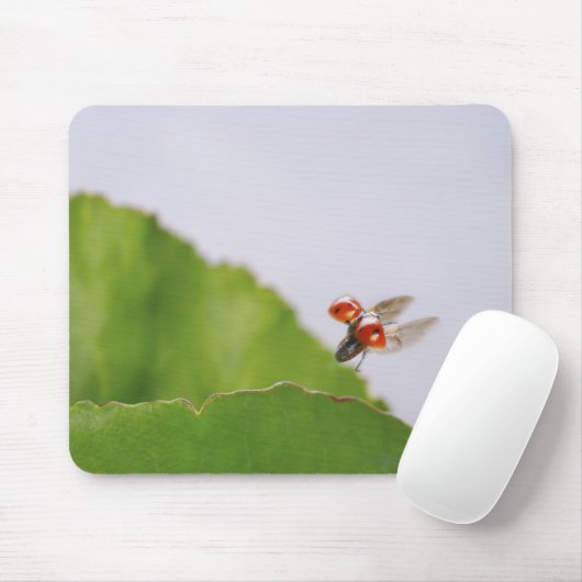 Sluiting van een ladybug boven een blad muismat (Met muis)