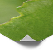 Sluiting van een ladybug boven een blad poster (Hoek)