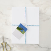 Sluiting van een libellen tegen een heldere blauwe cadeaulabel (Met Touw)