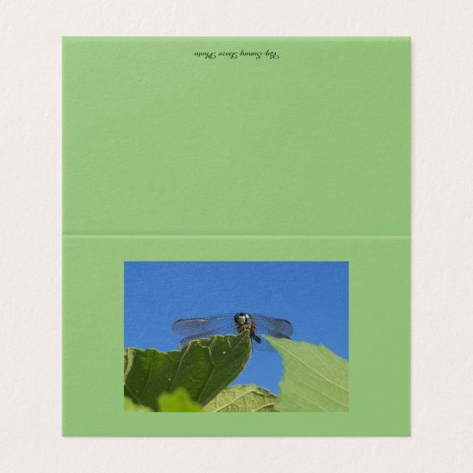 Sluiting van een libellen tegen een heldere blauwe kaart (Buitenkant ongevouwen)